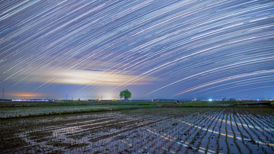 星空相册丨“星禾”有约，初夏“黑土粮仓”铺展稻田星光画卷
