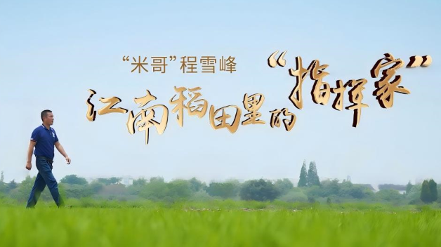 “米哥”程雪峰：江南稻田里的“指挥家”