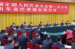 韩正参加山东代表团审议