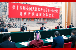 王沪宁参加贵州代表团审议