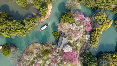 湿地蝶变进行时