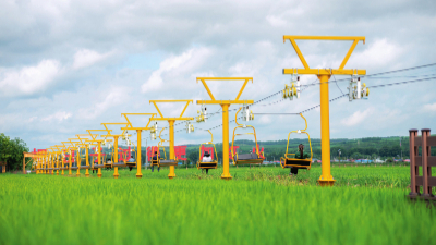 统筹发展“四个农业”