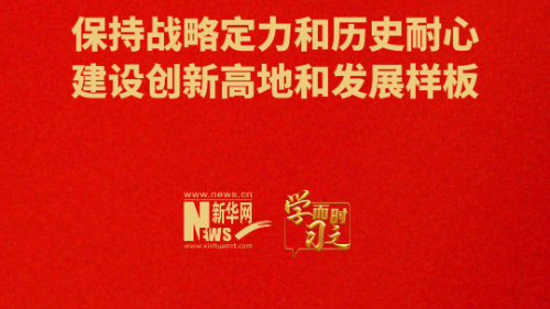 保持战略定力和历史耐心 建设创新高地和发展样板