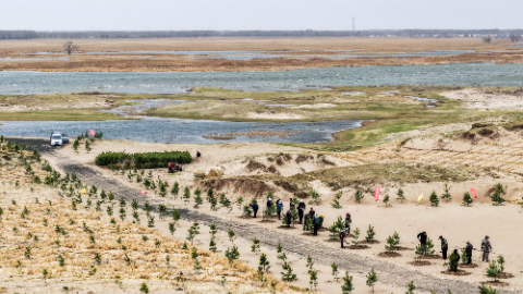 同走人与自然和谐之路——中国携手世界守护地球家园