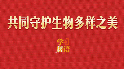 共同守护生物多样之美