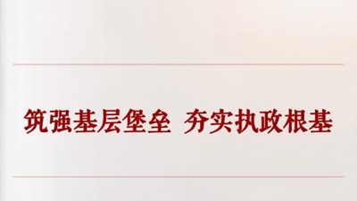 筑强基层堡垒  夯实执政根基