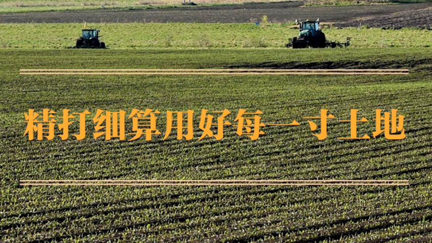 精打细算用好每一寸土地