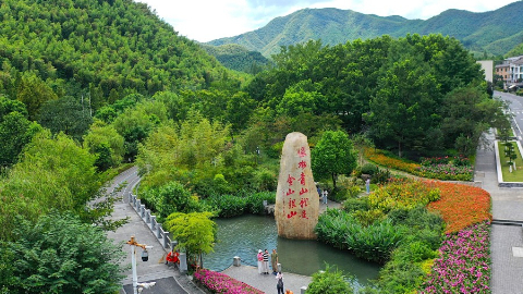 绿色承诺一以贯之