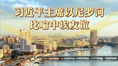 习近平主席以尼罗河比喻中埃友谊