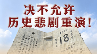 决不允许历史悲剧重演