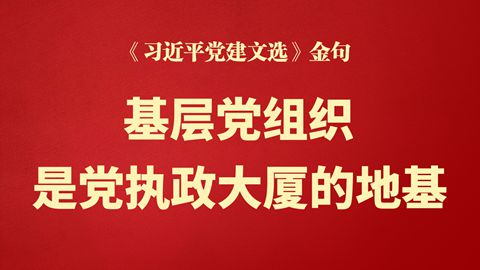 基层党组织是党执政大厦的地基