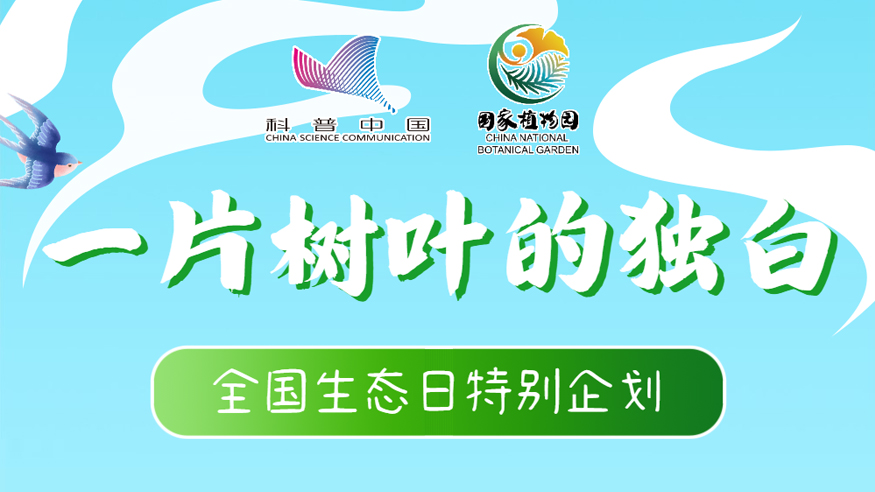 全国生态日丨一片树叶的独白